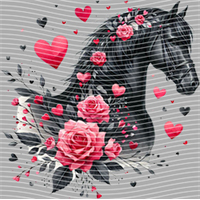 Valentine's Day-QRJ  5872